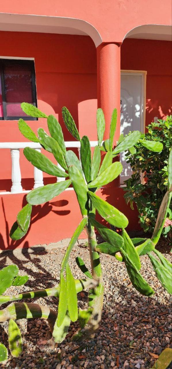 Villa Kiki Ensenada プンタ・ルシア エクステリア 写真