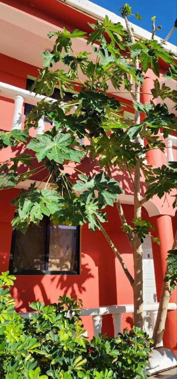 Villa Kiki Ensenada プンタ・ルシア エクステリア 写真