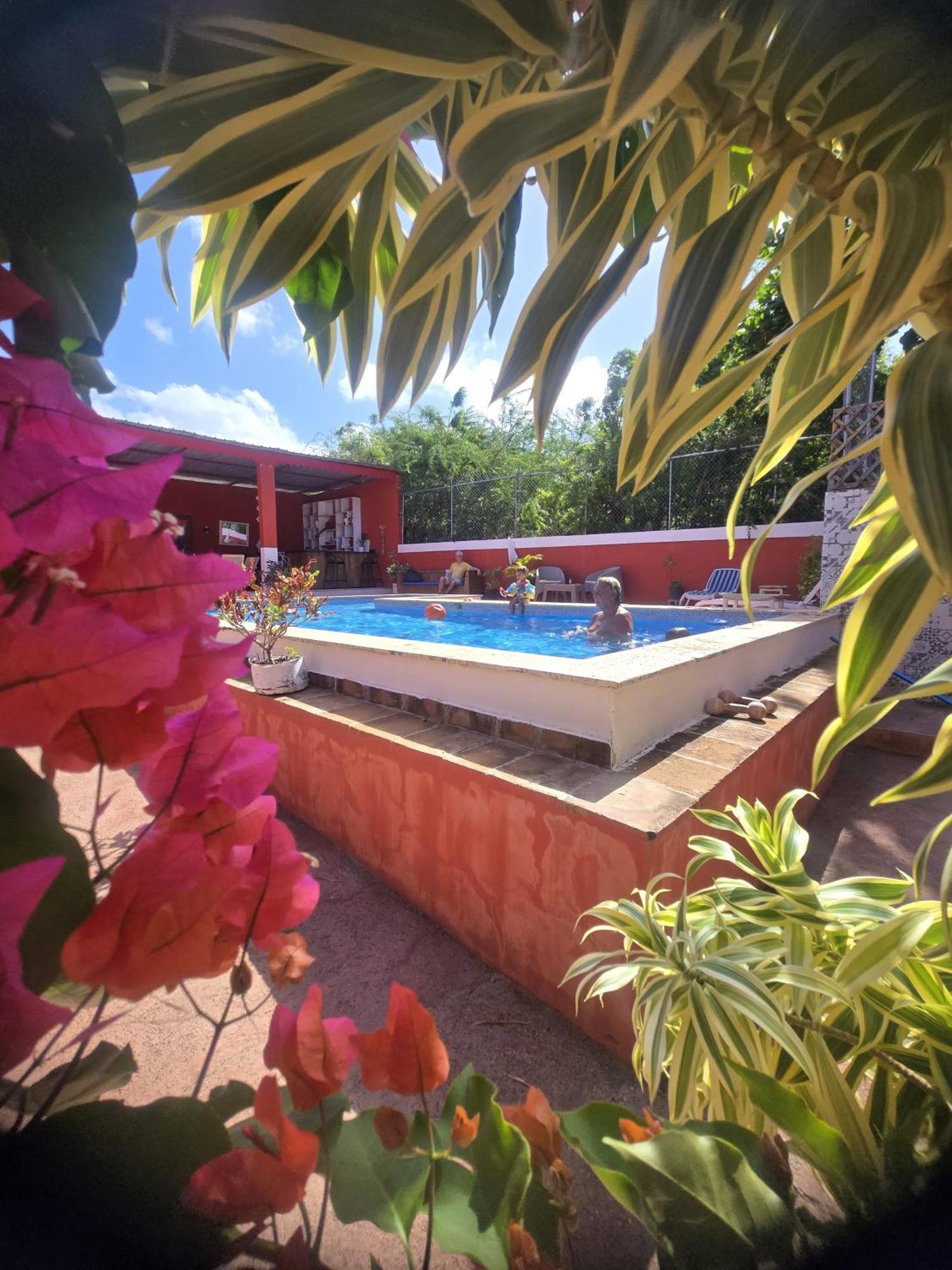 Villa Kiki Ensenada プンタ・ルシア エクステリア 写真